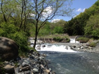 戸川公園の画像3