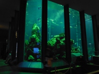 深さ6mの大型海洋水槽の画像05