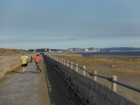 辻堂海浜公園海岸の目次画像