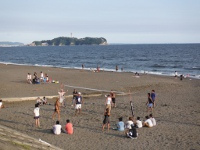 辻堂海浜公園の画像2