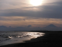 辻堂海浜公園の画像3