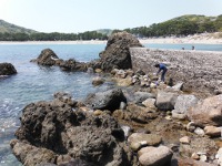 南伊豆　弓ヶ浜海岸の画像06