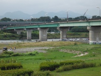 座架依橋の画像2