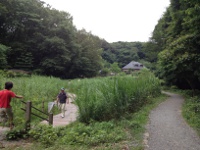 県立座間谷戸山公園（座間市）