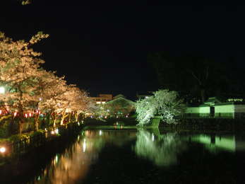 お堀の水面に桜が垂れるの画像17