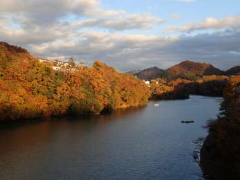 日蓮大橋からの相模湖側の画像17