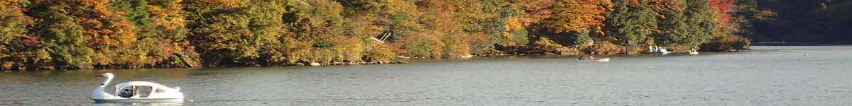 紅葉の相模湖の表紙イメージ画像
