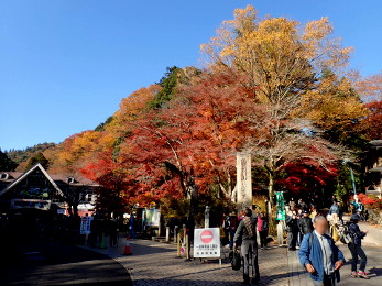 ケーブルカー「清滝駅」の画像02