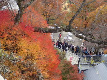 霞台　展望台からの景色②の画像15