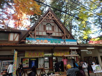 高尾山さる園・野草園の画像18