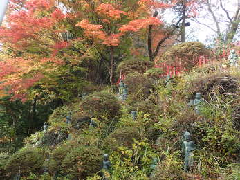 ご本堂へ続く階段の紅葉の画像25