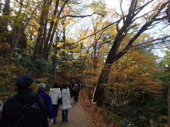 山頂に向かう登山道の画像27