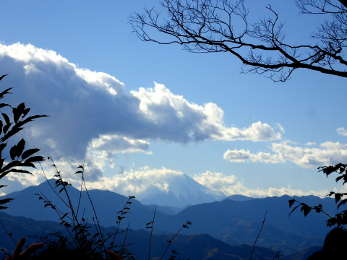 富士山が少しだけ見えたの画像31