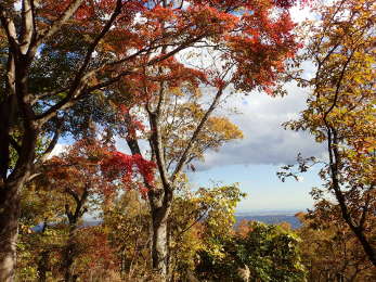 山頂からの景観の画像32