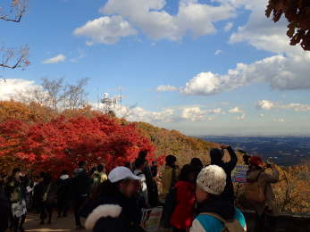 山頂からの景観の画像33