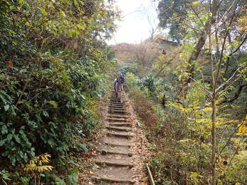 4号路コースの山頂側下り道の画像37