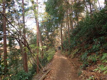 平坦な部分もある4号路の画像38