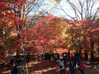 高尾山口駅の近郊の画像46