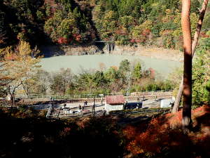 レイクコテージ奥大井から見た駅の画像25