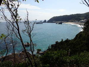 遊歩道から見る田牛海水浴場と青い海の画像13