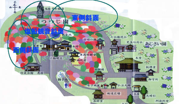 塩船観音寺のつつじマップの画像