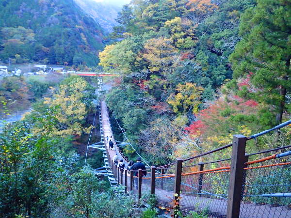階段式吊橋（吊床板階段橋）で日本一（62m）の宮沢橋（2018/11/24）画像01