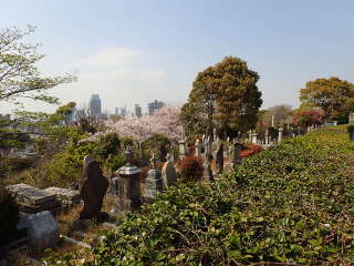 横浜外国人墓地の画像22