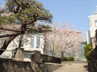 横浜地方気象台の画像11