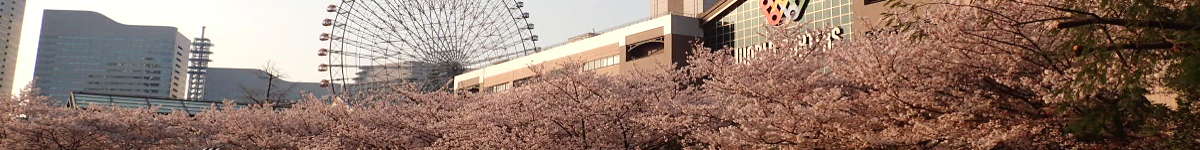 横浜：山手公園からみなとみらいまでの花見ホッピングの表紙イメージ画像