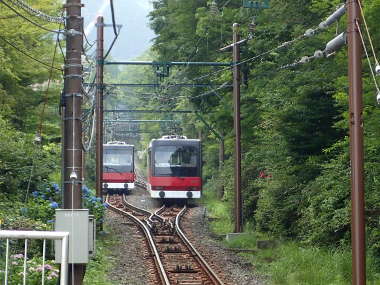 箱根登山ケーブルカー沿いにもあじさいが咲くの画像03