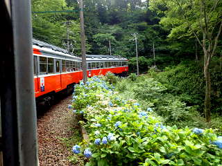 小涌谷駅から彫刻の森駅の間の画像21