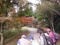 箱根やすらぎの森の画像12