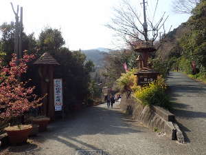 「離れのやど 星ヶ山」の画像13