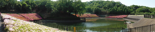 「湧水池の崖」の画像08