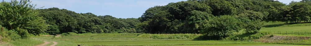 茅ケ崎里山公園の表紙イメージ画像