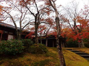 富士見亭と真和亭（茶室）の画像10