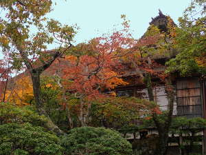 神山壮と紅葉の画像14