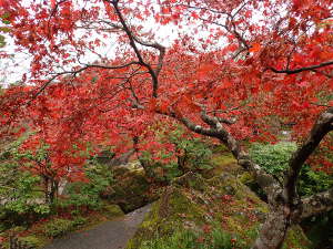 石楽園その２の画像17