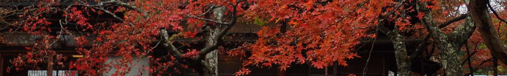 箱根美術館の紅葉の表紙イメージ画像
