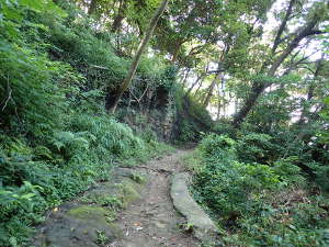 駐車場からうみの子とりでに向かう山道」の画像12