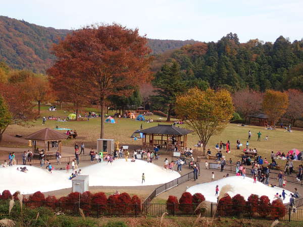 神奈川県立あいかわ公園と紅葉の目次画像