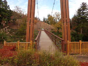 森のわたり橋の画像23