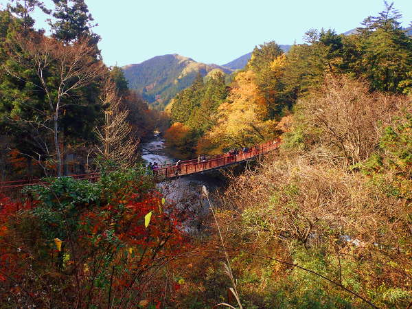 秋川渓谷「石舟橋」から見た紅葉の画像01
