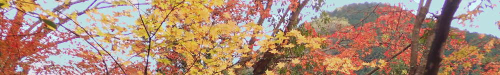 秋川渓谷　紅葉と温泉の表紙イメージ画像