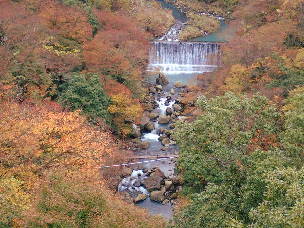 上から見たチェンバレンの散歩道の木賀温泉側と桜橋（吊り橋）の画像01