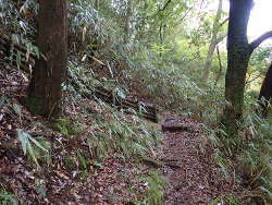 細い山道の画像12