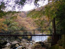 吊り橋の桜橋が見えてくるの画像17