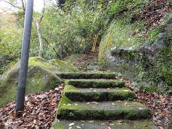 最後の登り道橋の画像19