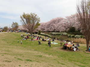 鳩川園内側の下流側の画像07