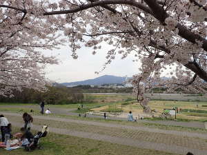 夕焼けの丘」下の相模川側の画像12